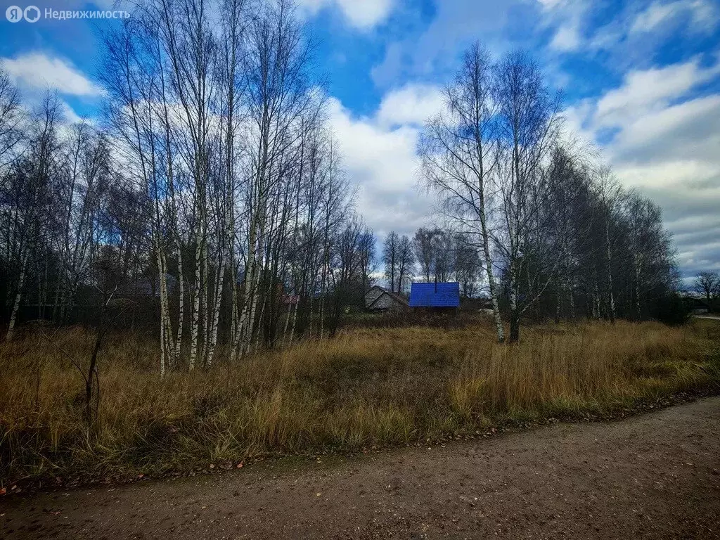 Участок в Тверская область, Конаковский муниципальный округ, деревня ... - Фото 1