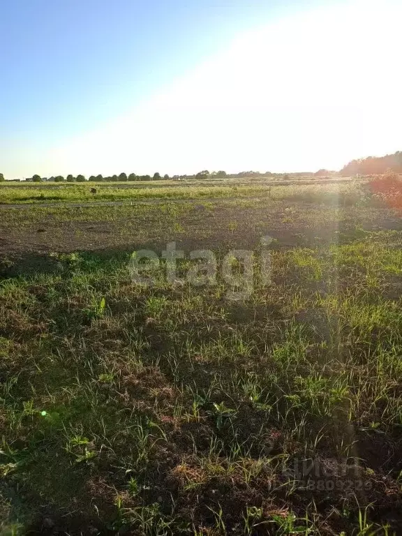 Участок в Ленинградская область, Ломоносовский район, Лопухинское ... - Фото 1