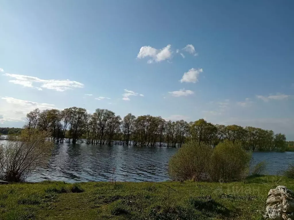 Дом в Новгородская область, Парфинский район, Федорковское с/пос, ... - Фото 0