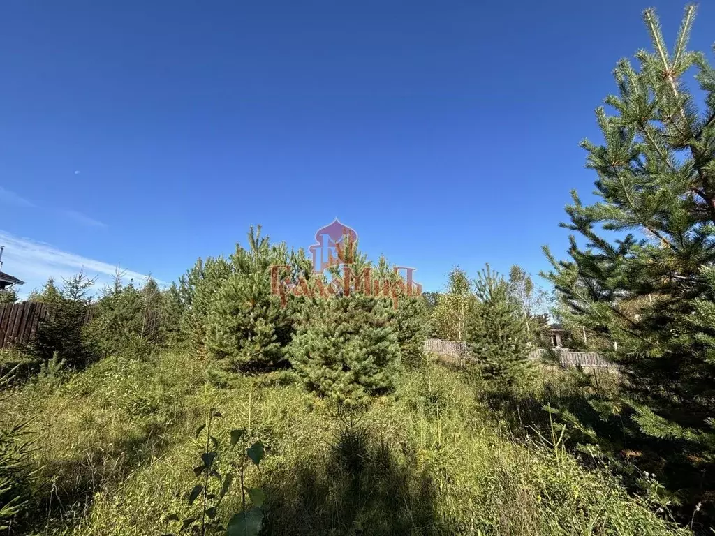 Участок в Московская область, Дмитровский муниципальный округ, д. ... - Фото 1