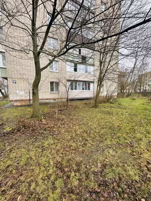 1-к кв. Московская область, Егорьевск 1-й мкр, 16А (31.7 м) - Фото 1