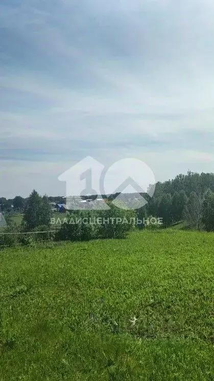 Участок в Новосибирская область, Мошково рп ул. Дорожная, 13 (12.0 ... - Фото 1