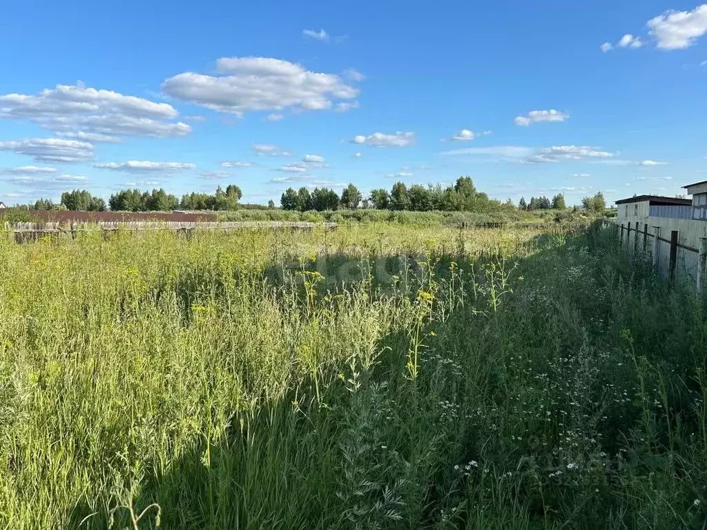 Участок в Курганская область, Курган Золотой Подсолнух СНТ, 14 (10.0 ... - Фото 2