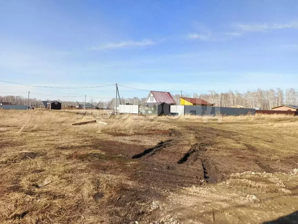 Участок в Новосибирская область, Новосибирский район, Морской ... - Фото 1