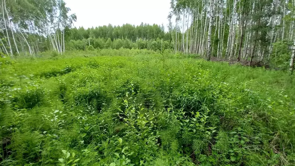 Участок в Нижегородская область, Дальнеконстантиновский муниципальный ... - Фото 1