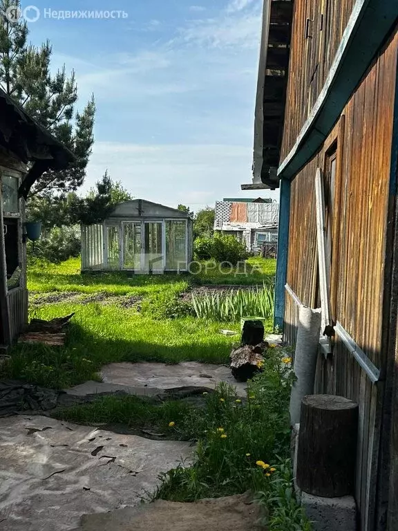 Участок в Новосибирск, СТ Любитель, 222 (6.4 м) - Фото 0