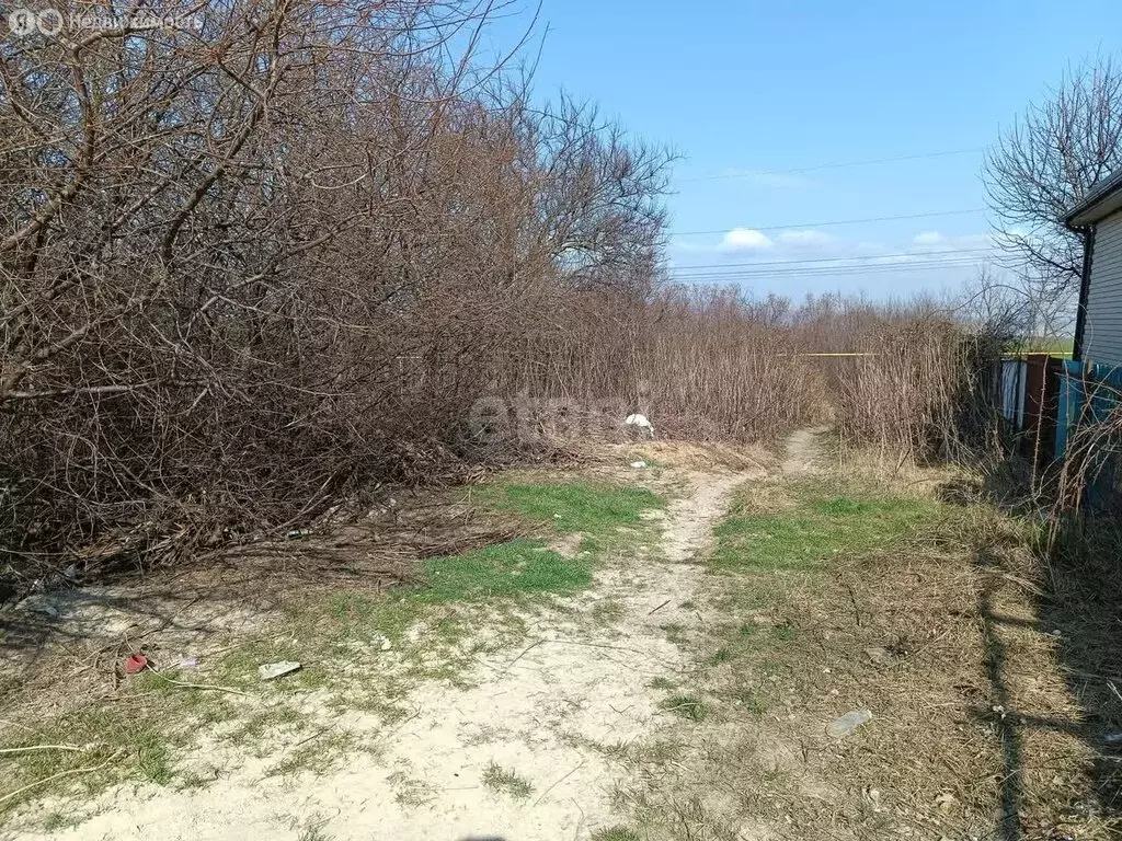 Участок в Краснодарский край, муниципальный округ Анапа, село Супсех ... - Фото 1