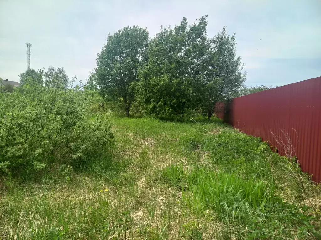 Участок в Московская область, Солнечногорск городской округ, д. ... - Фото 1