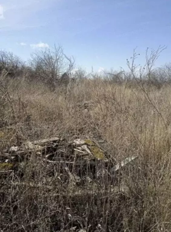 Участок в Татарстан, Заинск Дружба СНТ,  (3.0 сот.) - Фото 1