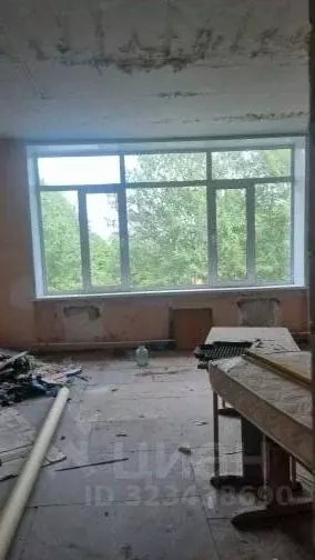 Помещение свободного назначения в Камчатский край, Елизовский ... - Фото 2