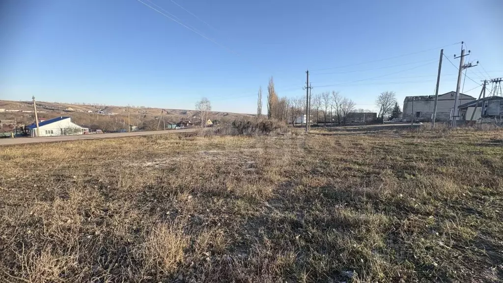 Участок в Воронежская область, Нижнедевицкий район, Верхнетуровское ... - Фото 1
