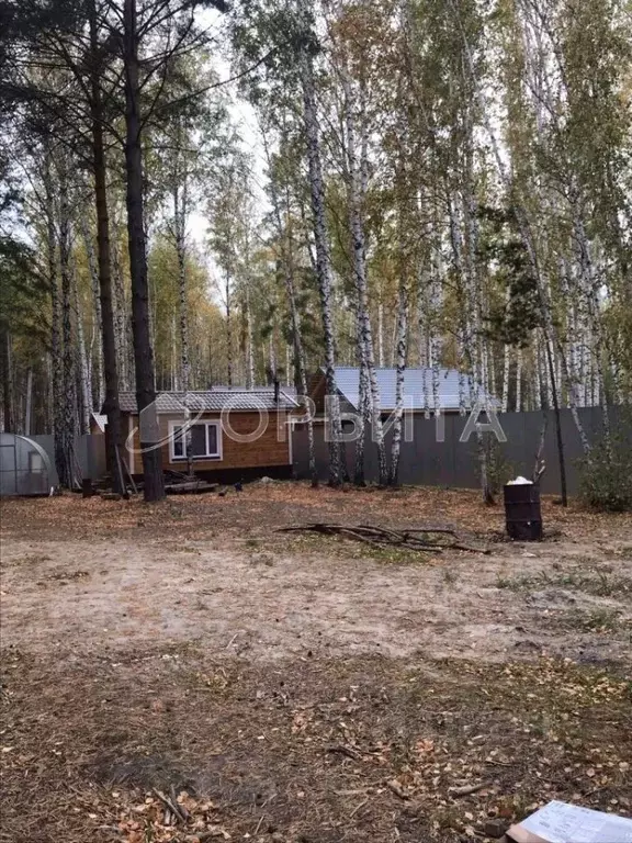 Дом в Тюменская область, Тюменский район, Архитектор СНТ ул. Дачная, ... - Фото 0