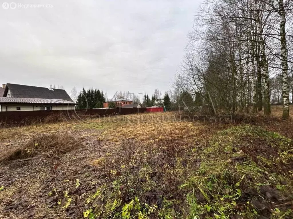 Участок в деревня Ям-Ижора, Ленинградская улица, 14 (5.7 м) - Фото 2