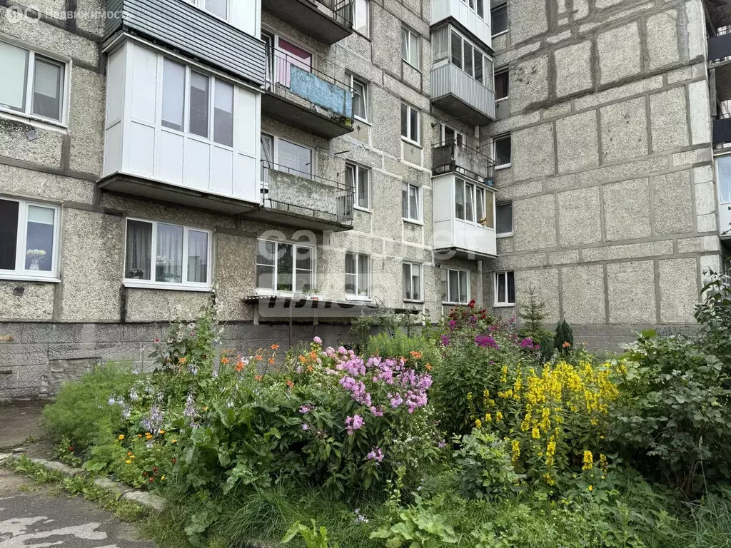1-комнатная квартира: Васильково, улица 40 лет Победы, 1Б (22.7 м) - Фото 1