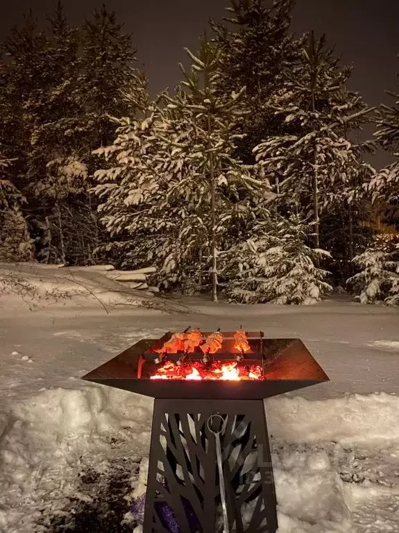 Дом в Ленинградская область, Выборгский район, Гончаровское с/пос, ... - Фото 2