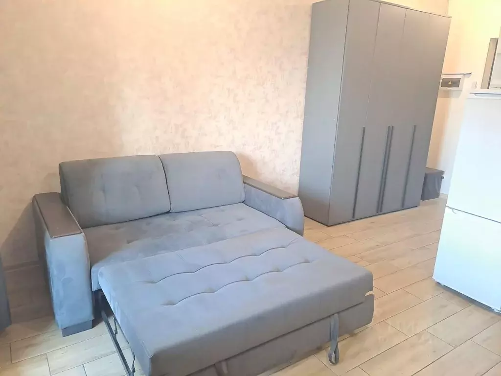 Студия Санкт-Петербург Земледельческая ул., 3 (24.0 м) - Фото 0