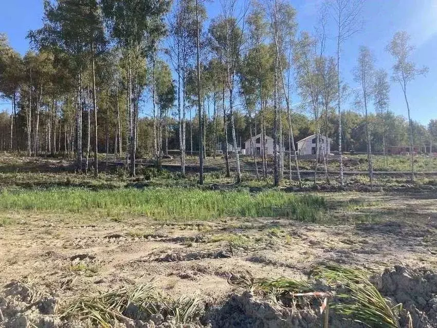 Участок в Ленинградская область, Всеволожский район, Токсовское ... - Фото 1