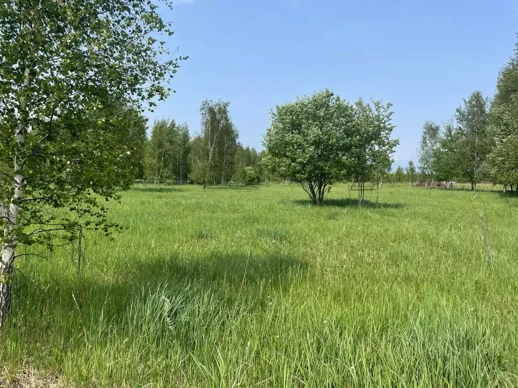 Участок в Московская область, Раменский муниципальный округ, с. ... - Фото 1