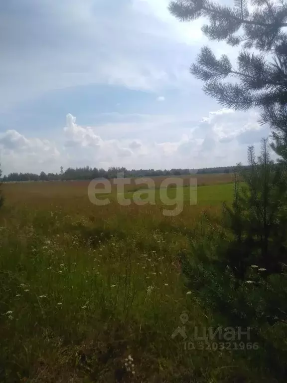 Участок в Ленинградская область, Выборгский район, Гончаровское с/пос, ... - Фото 0