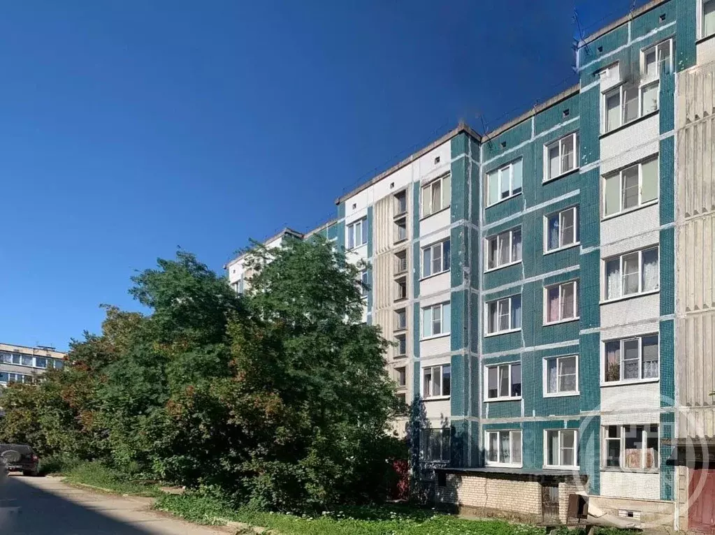 2-к кв. Ленинградская область, Гатчинский муниципальный округ, д. Мины ... - Фото 1