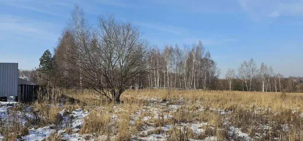 Участок в Московская область, Луховицы ул. Усадебная (24.0 сот.) - Фото 0
