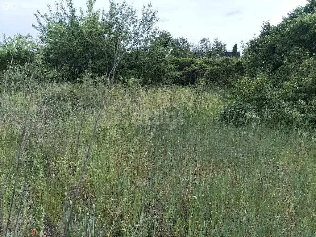 Участок в Воронеж, Просторная улица (8.9 м) - Фото 1