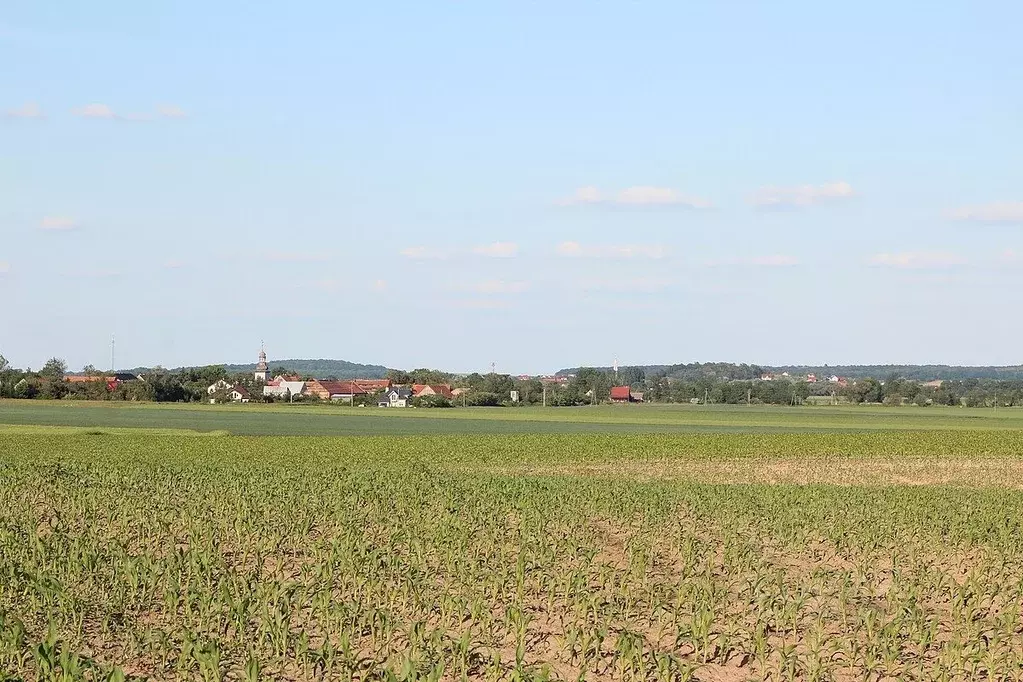 Участок в Ленинградская область, Тосненское городское поселение, д. ... - Фото 2
