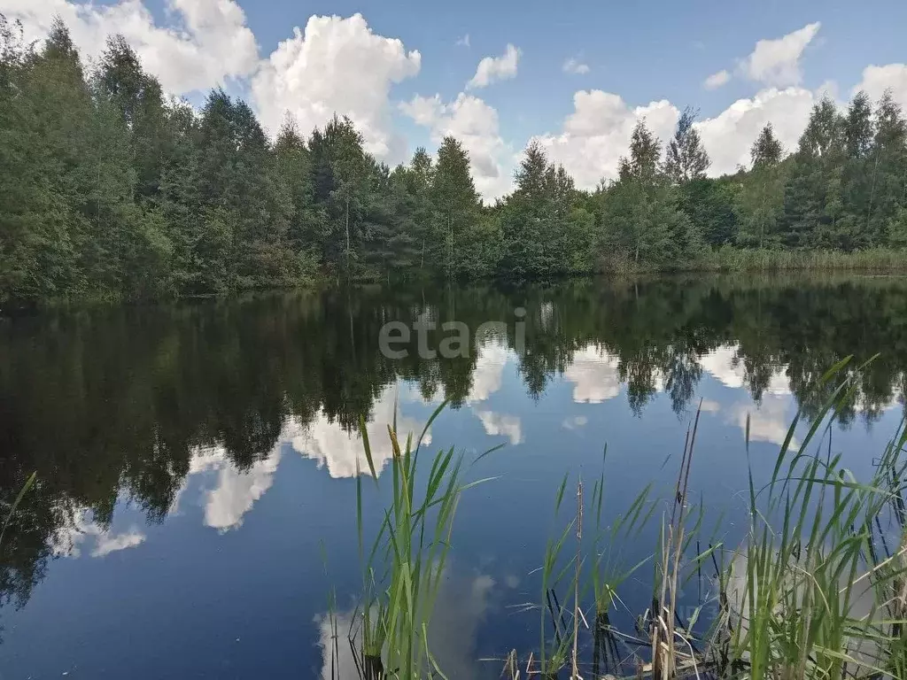 Дом в Тверская область, Тверь Бор садоводческое товарищество,  (190 м) - Фото 1