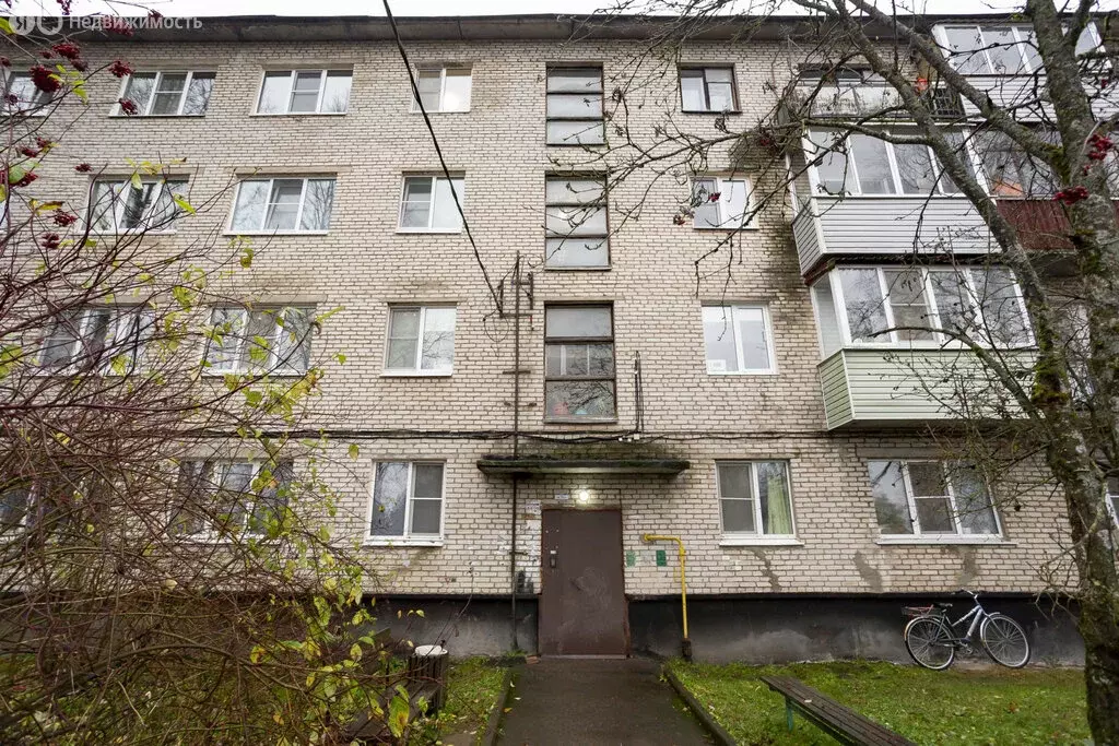 3-комнатная квартира: село Колчаново, микрорайон Алексино, 2 (64.1 м) - Фото 2