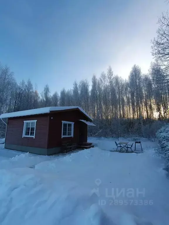 Дом в Псковская область, Печорский муниципальный округ, д. Березнюк  ... - Фото 0