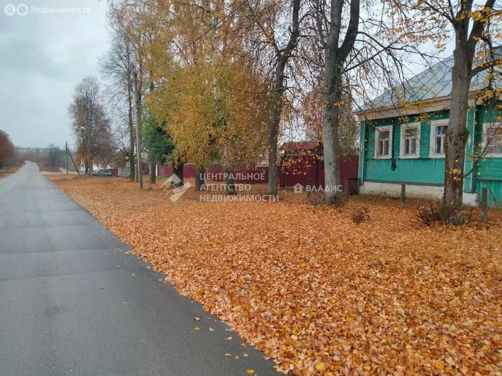 Дом в Гусь-Железный, Центральная улица, 2 (44.5 м) - Фото 2