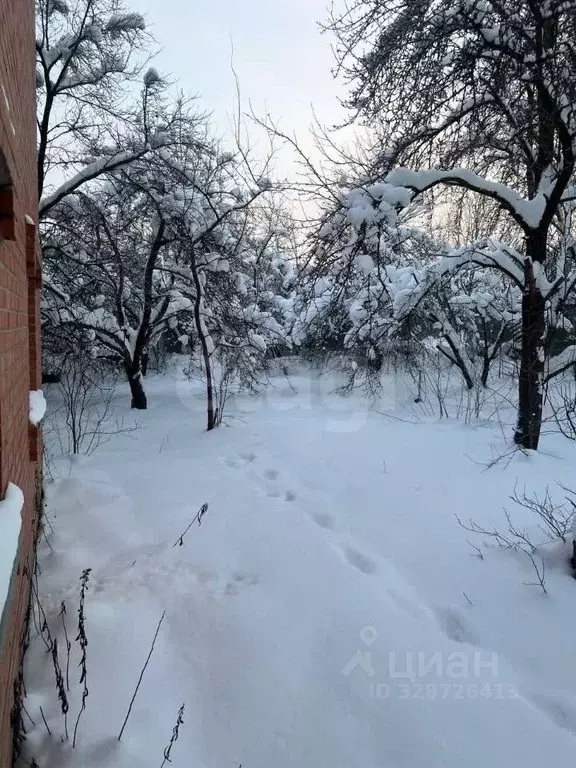 Участок в Московская область, Одинцовский городской округ, д. Шульгино ... - Фото 1