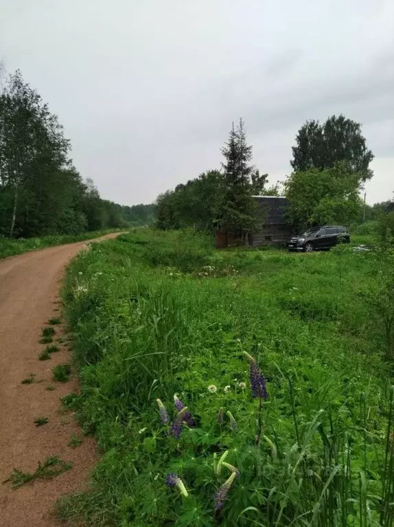 Участок в Псковская область, Гдовский район, Юшкинская волость, д. ... - Фото 0