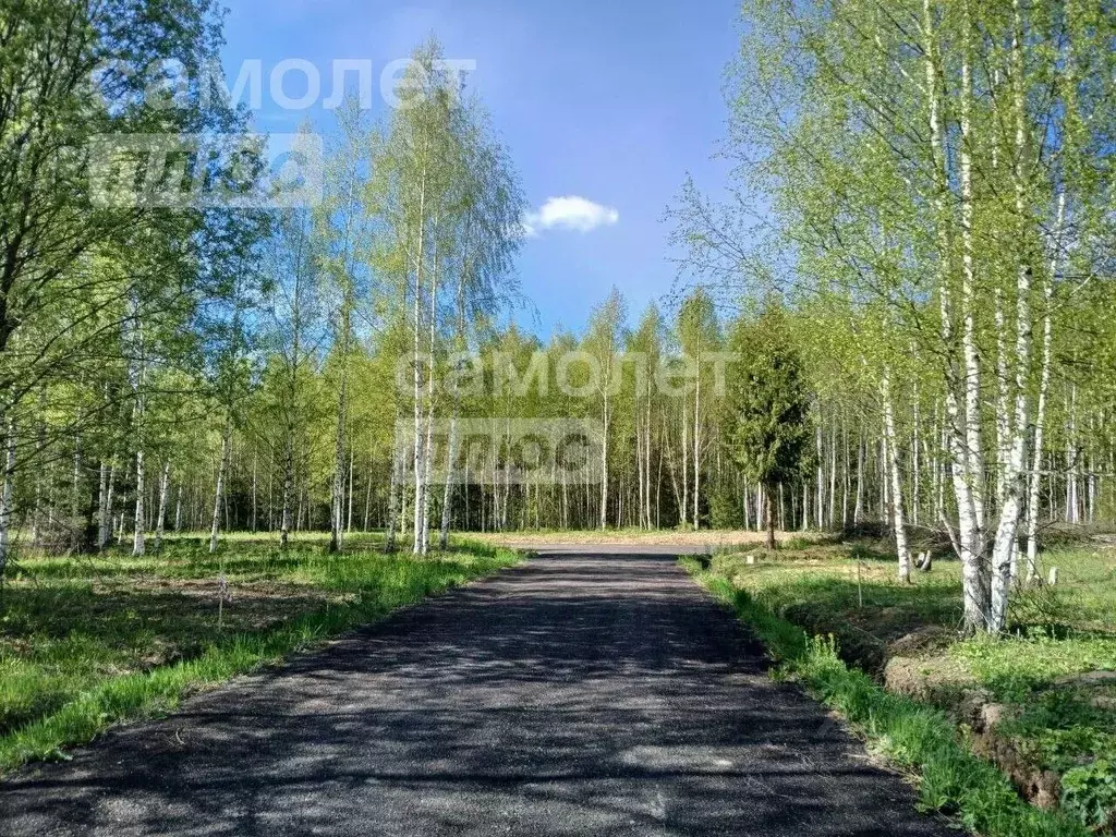 Участок в Московская область, Раменский городской округ, с. Зеленая ... - Фото 1