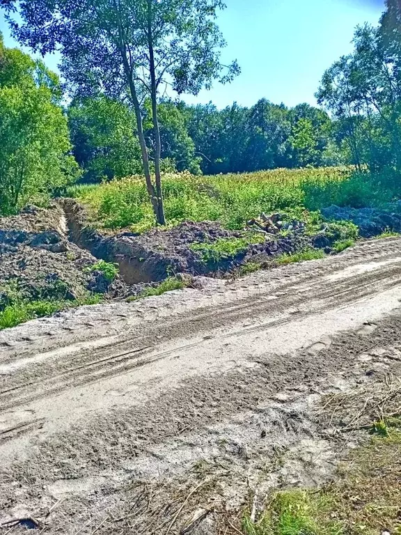 Участок в Карелия, Лахденпохский муниципальный округ, 1302 кв-л 3202 ... - Фото 2