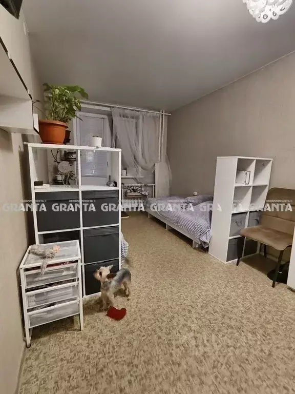 Студия Красноярский край, Красноярск ул. Калинина, 175В (31.0 м) - Фото 0