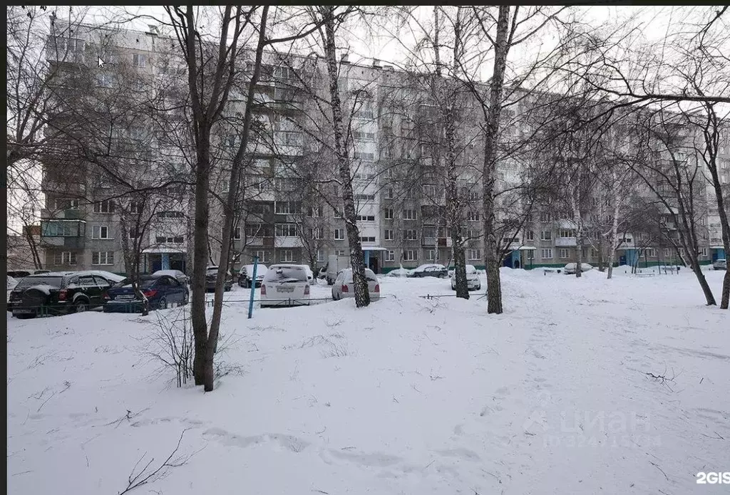 Свободной планировки кв. Новосибирская область, Новосибирск ул. ... - Фото 1