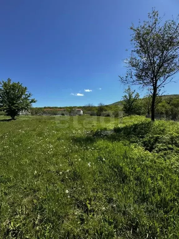 Участок в Крым, Белогорский район, с. Земляничное ул. Заречная (16.0 ... - Фото 0