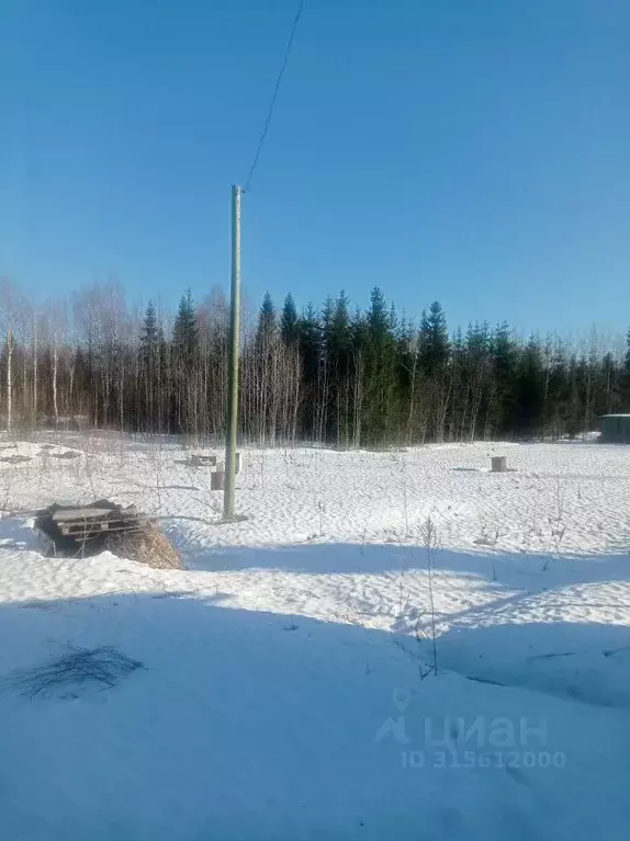 Участок в Коми, Сыктывдинский район, Выльгорт муниципальное ... - Фото 1