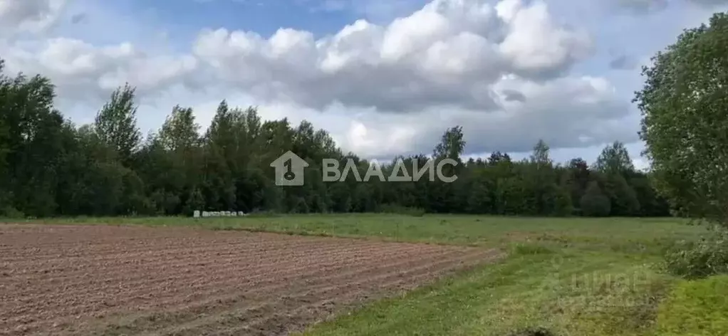 Участок в Ленинградская область, Тихвинский район, Борское с/пос, д. ... - Фото 2