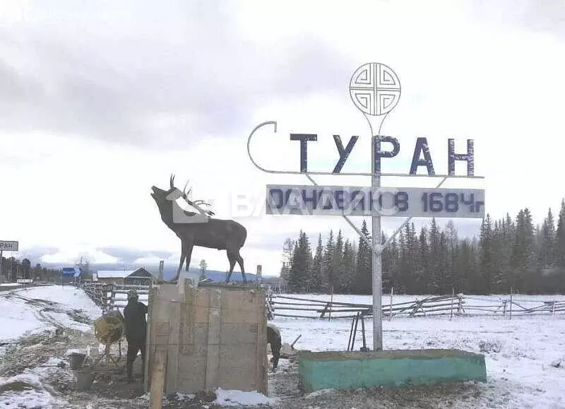 Участок в Тункинский район, село Туран (19.9 м) - Фото 2