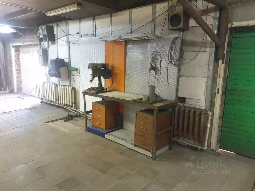 Помещение свободного назначения в Новосибирская область, Новосибирск ... - Фото 1