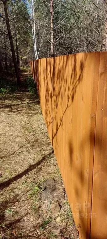 Участок в Алтай, Чемальский район, с. Анос Центральная ул. (48.0 сот.) - Фото 2