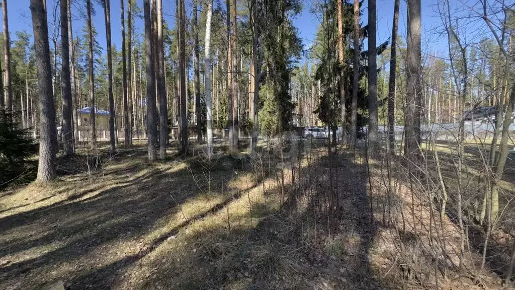 Участок в Ленинградская область, Выборгский район, Полянское с/пос, ... - Фото 1