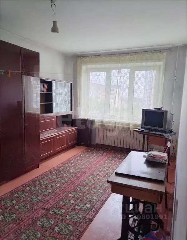 1-к кв. Алтайский край, Барнаул ул. Веры Кащеевой, 17/1 (30.0 м) - Фото 1