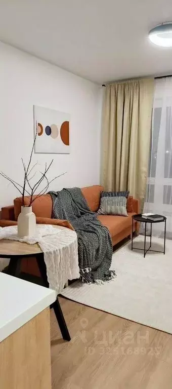 Студия Москва ул. Трехполье, 6к1 (20.0 м) - Фото 2