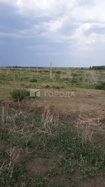 Участок в Новосибирская область, Новосибирский район, Ярковский ... - Фото 0