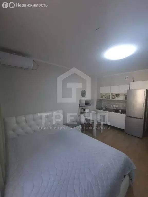 Квартира-студия: Санкт-Петербург, проспект Ветеранов, 169к2 (24 м) - Фото 1