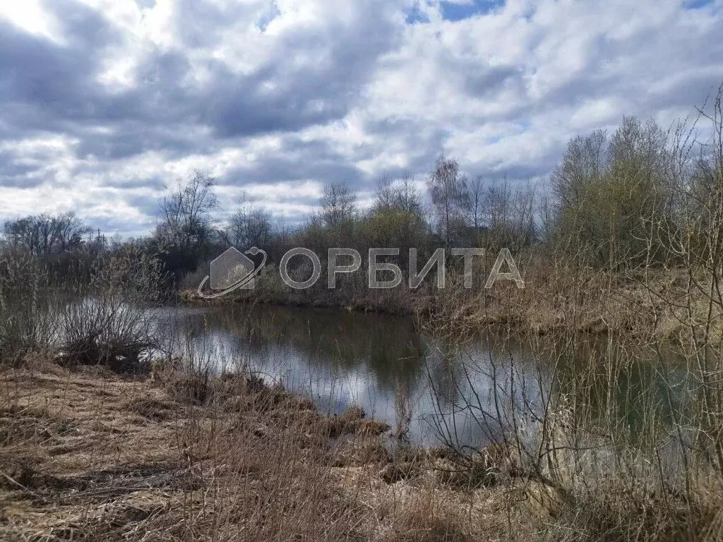 участок в тюменская область, тюменский район, д. молчанова (13.0 . - Фото 1