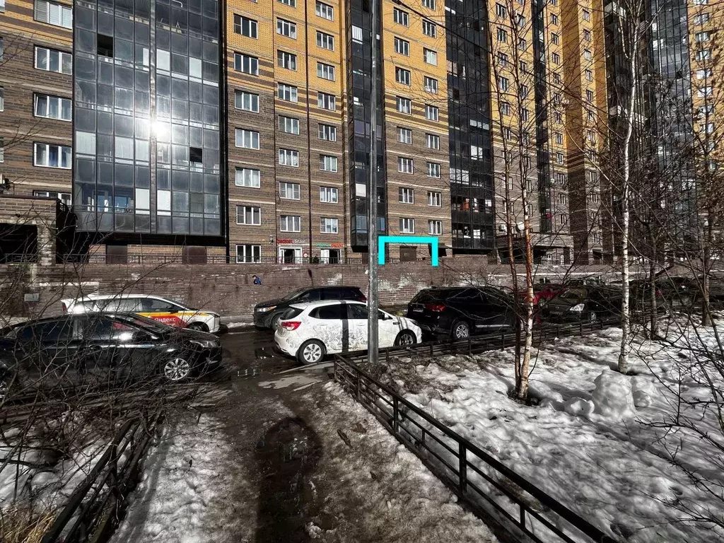 Торговая площадь в Санкт-Петербург пос. Парголово, ул. Николая ... - Фото 2